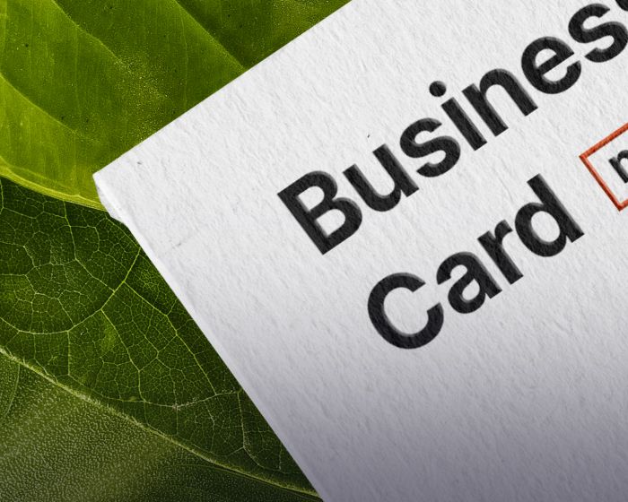 Green business card (Demo)